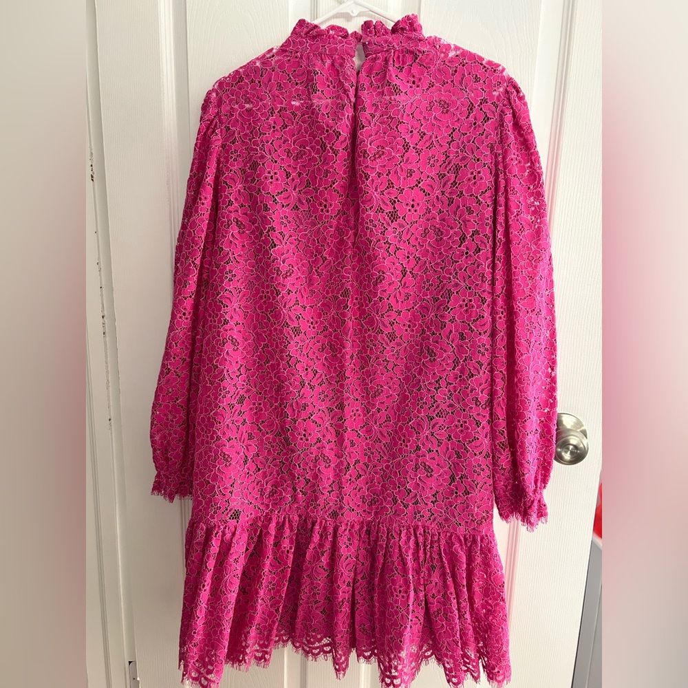 J. Crew Ruffleneck Lace Dress - Picture 5 of 6